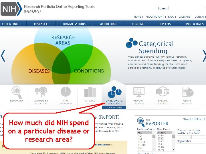 How much did NIH spend on a particular disease or research area? 