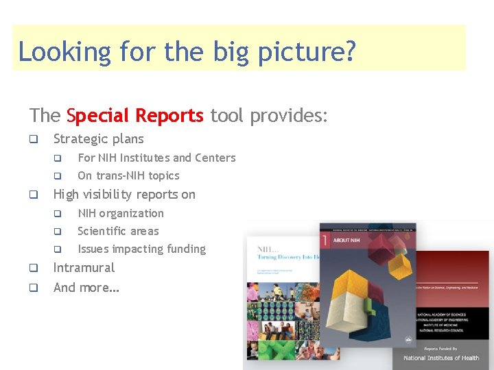 Looking for the big picture? The Special Reports tool provides: q q Strategic plans
