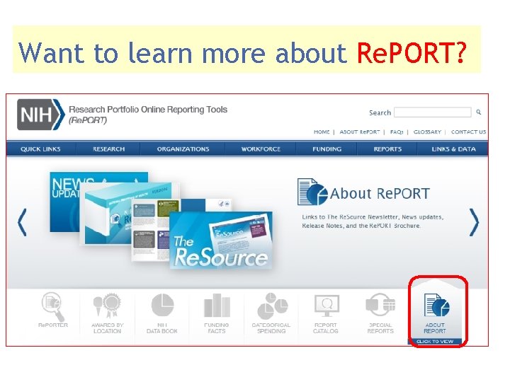 Want to learn more about Re. PORT? 