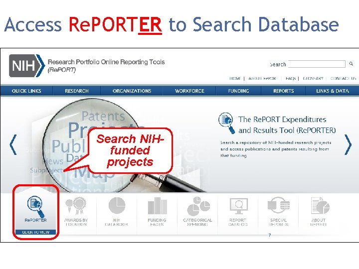 Access Re. PORTER to Search Database Search NIHfunded projects 7 