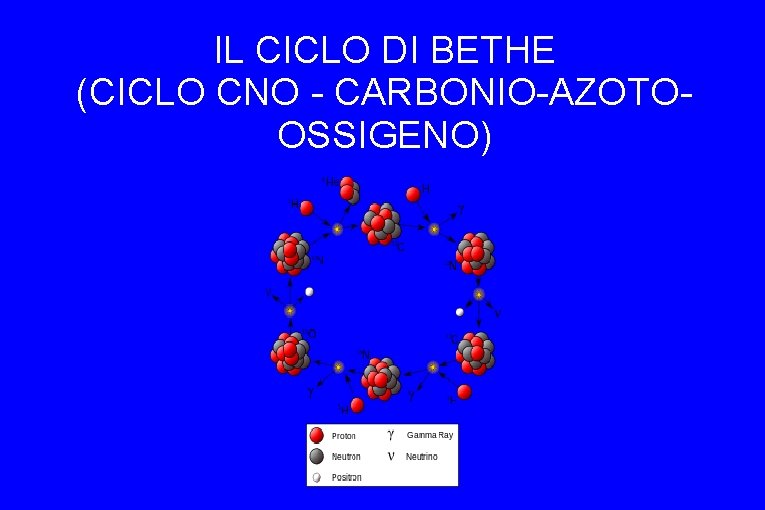 IL CICLO DI BETHE (CICLO CNO - CARBONIO-AZOTOOSSIGENO) 