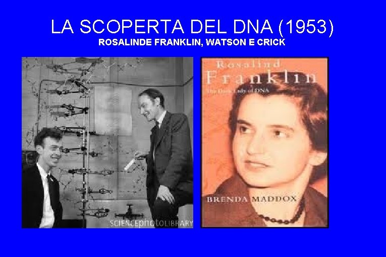 LA SCOPERTA DEL DNA (1953) ROSALINDE FRANKLIN, WATSON E CRICK 