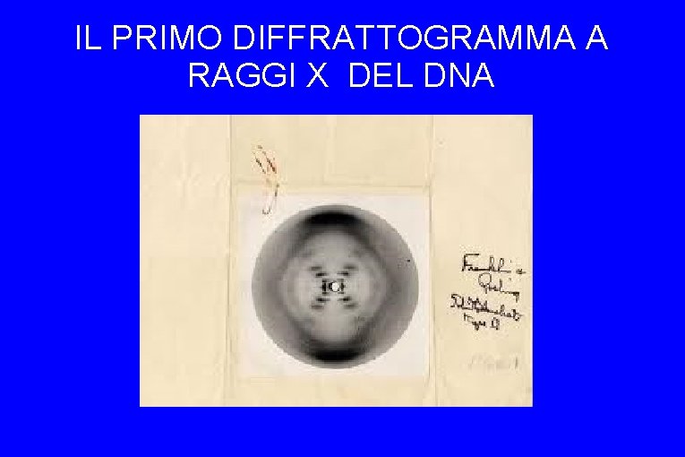 IL PRIMO DIFFRATTOGRAMMA A RAGGI X DEL DNA 