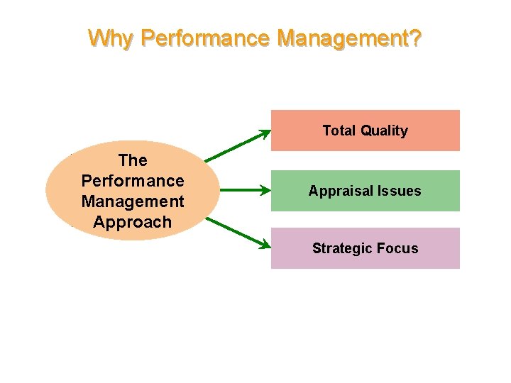 Why Performance Management? Total Quality The Performance Management Approach Appraisal Issues Strategic Focus 