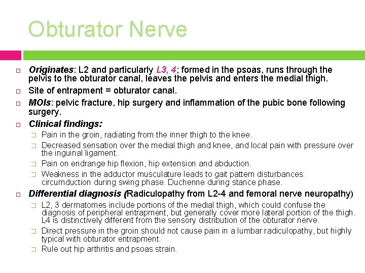 Obturator Nerve Originates: L 2 and particularly L 3, 4; formed in the psoas,