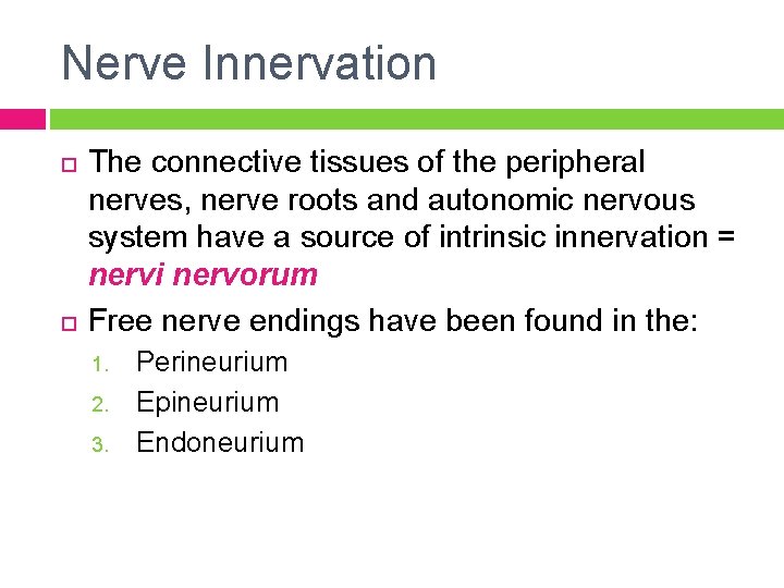 Nerve Innervation The connective tissues of the peripheral nerves, nerve roots and autonomic nervous