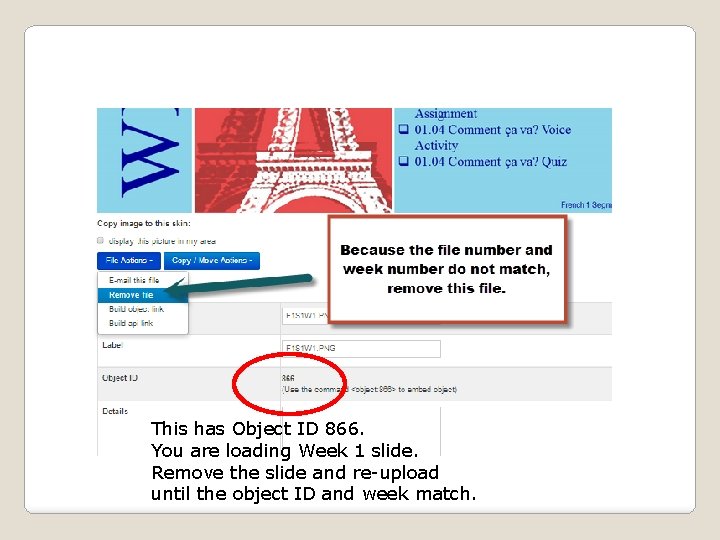 This has Object ID 866. You are loading Week 1 slide. Remove the slide