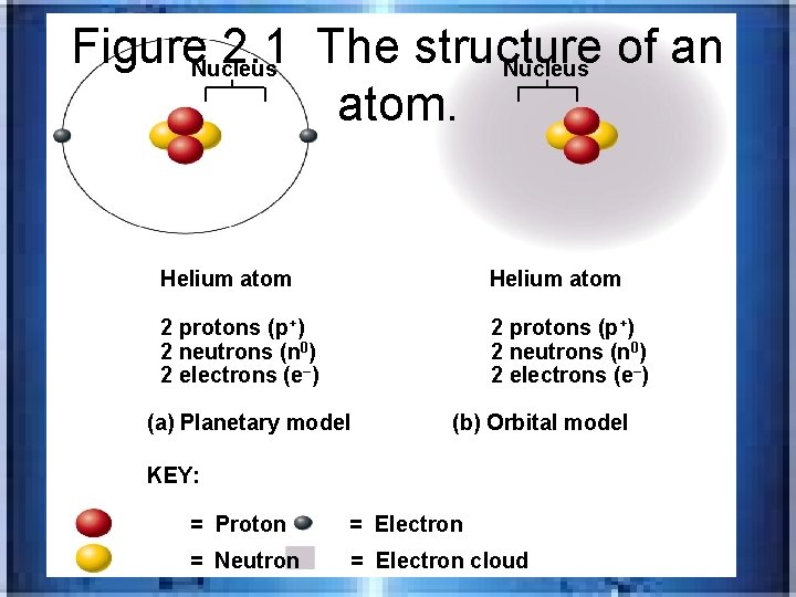 Figure 2. 1 The structure of an Nucleus atom. Helium atom 2 protons (p+)