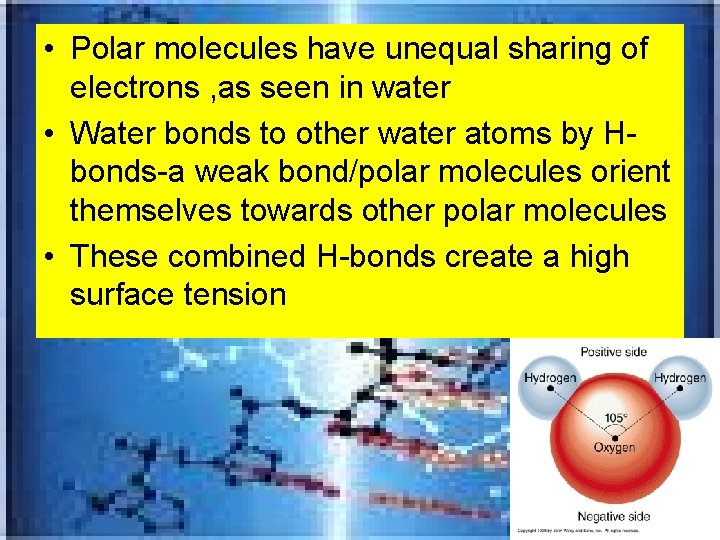 • Polar molecules have unequal sharing of electrons , as seen in water