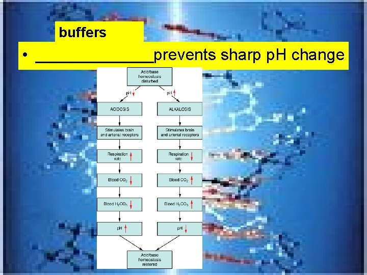 buffers • _______prevents sharp p. H change 