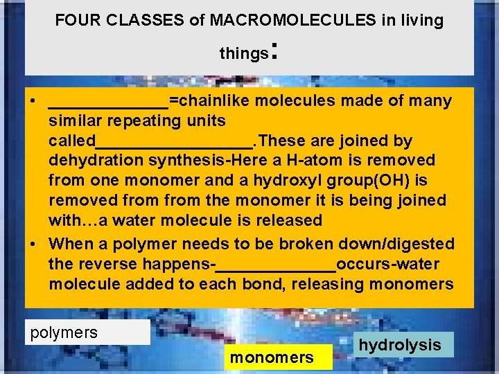 FOUR CLASSES of MACROMOLECULES in living things : • _______=chainlike molecules made of many