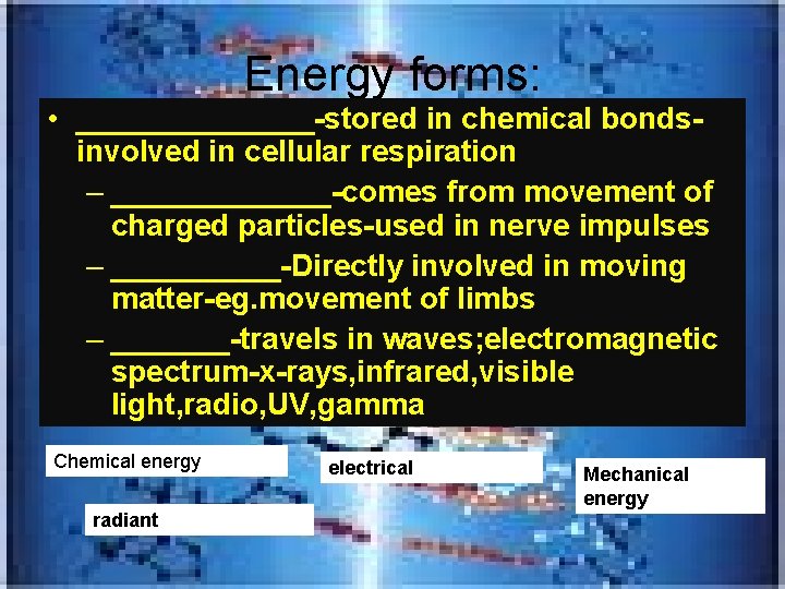 Energy forms: • _______-stored in chemical bondsinvolved in cellular respiration – _______-comes from movement