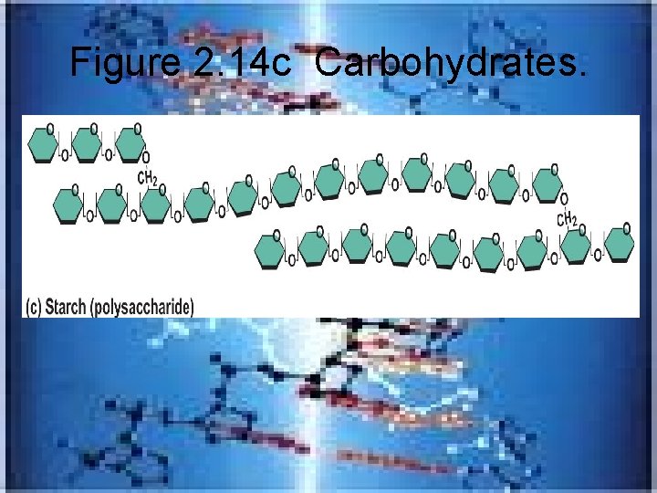 Figure 2. 14 c Carbohydrates. 