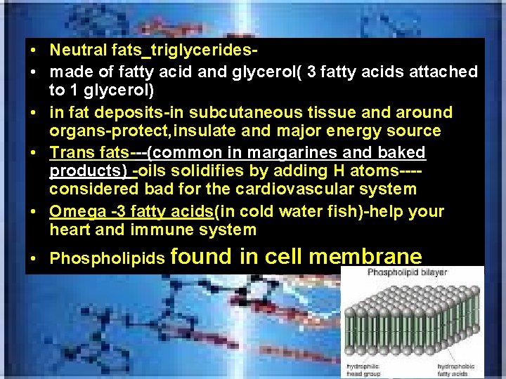  • Neutral fats_triglycerides • made of fatty acid and glycerol( 3 fatty acids