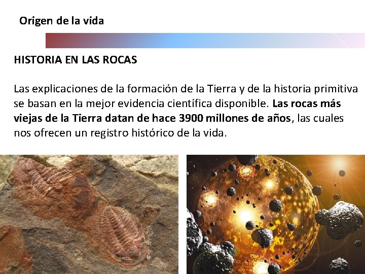 Origen de la vida HISTORIA EN LAS ROCAS Las explicaciones de la formación de