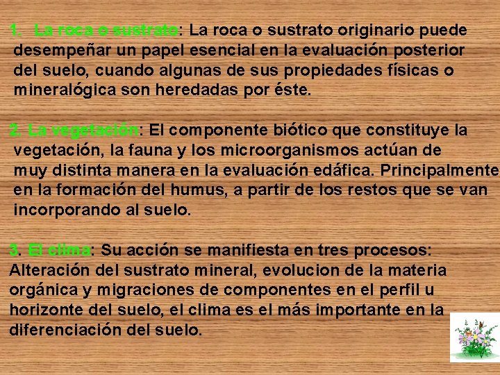 1. La roca o sustrato: La roca o sustrato originario puede desempeñar un papel