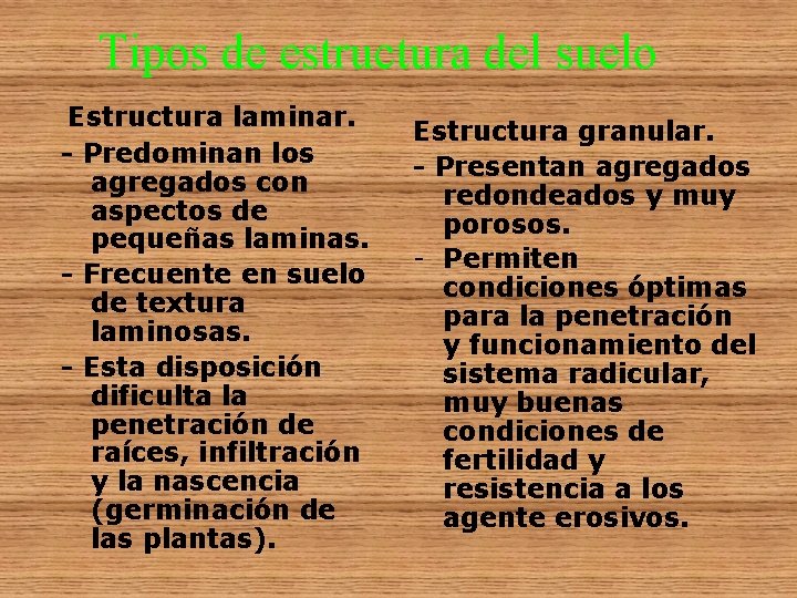 Tipos de estructura del suelo Estructura laminar. - Predominan los agregados con aspectos de