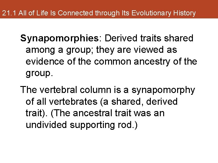 21. 1 All of Life Is Connected through Its Evolutionary History Synapomorphies: Derived traits