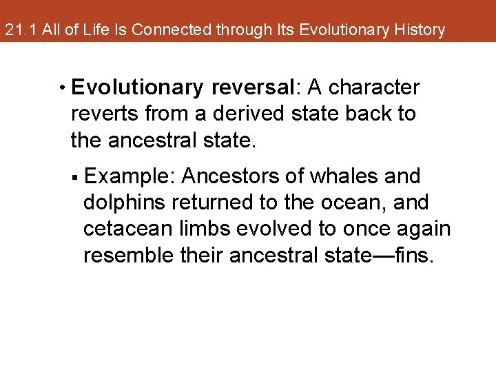 21. 1 All of Life Is Connected through Its Evolutionary History • Evolutionary reversal: