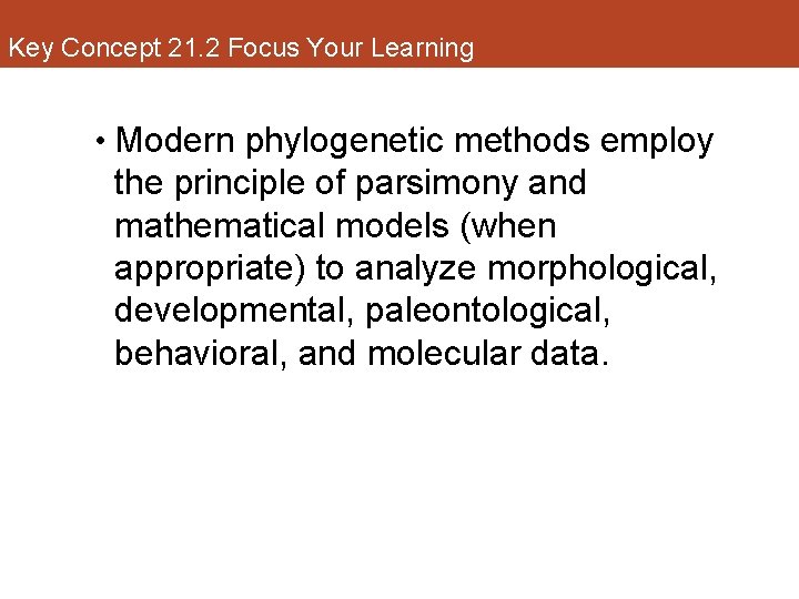 Key Concept 21. 2 Focus Your Learning • Modern phylogenetic methods employ the principle