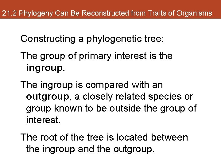 21. 2 Phylogeny Can Be Reconstructed from Traits of Organisms Constructing a phylogenetic tree: