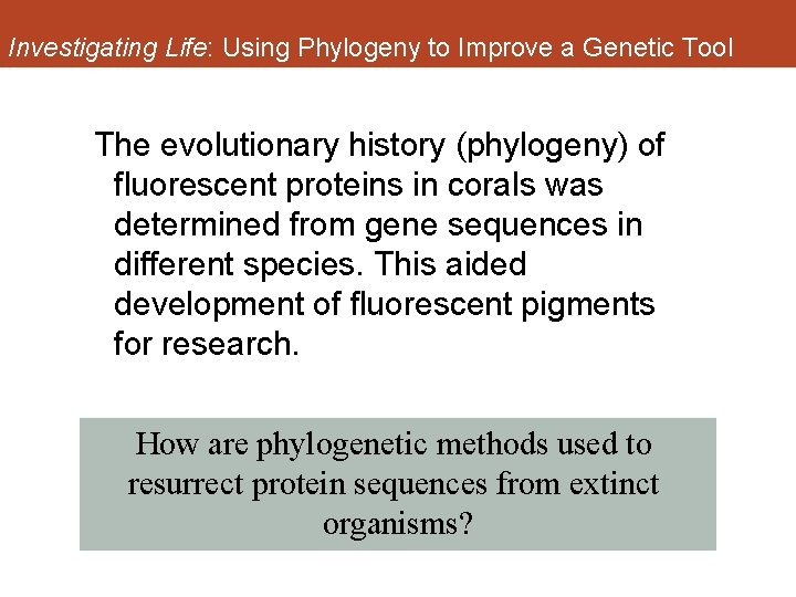 Investigating Life: Using Phylogeny to Improve a Genetic Tool The evolutionary history (phylogeny) of