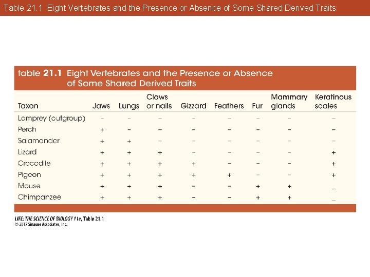 Table 21. 1 Eight Vertebrates and the Presence or Absence of Some Shared Derived