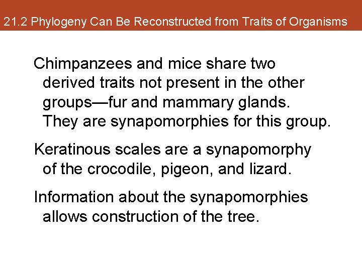 21. 2 Phylogeny Can Be Reconstructed from Traits of Organisms Chimpanzees and mice share