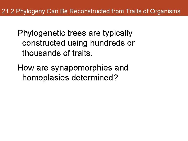 21. 2 Phylogeny Can Be Reconstructed from Traits of Organisms Phylogenetic trees are typically