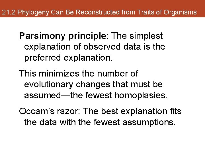 21. 2 Phylogeny Can Be Reconstructed from Traits of Organisms Parsimony principle: The simplest