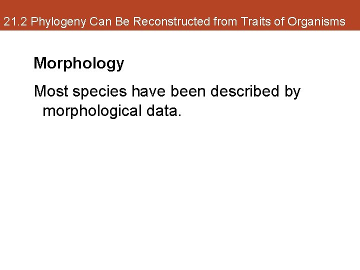 21. 2 Phylogeny Can Be Reconstructed from Traits of Organisms Morphology Most species have