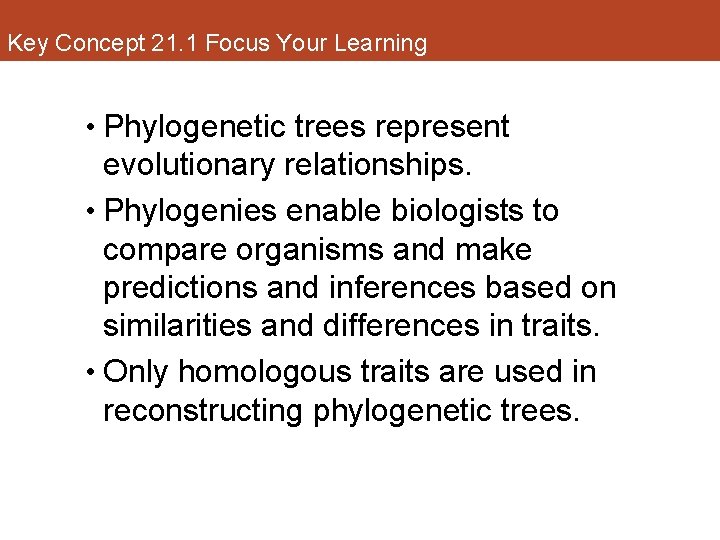 Key Concept 21. 1 Focus Your Learning • Phylogenetic trees represent evolutionary relationships. •