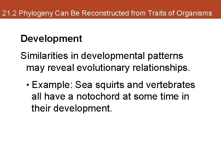 21. 2 Phylogeny Can Be Reconstructed from Traits of Organisms Development Similarities in developmental