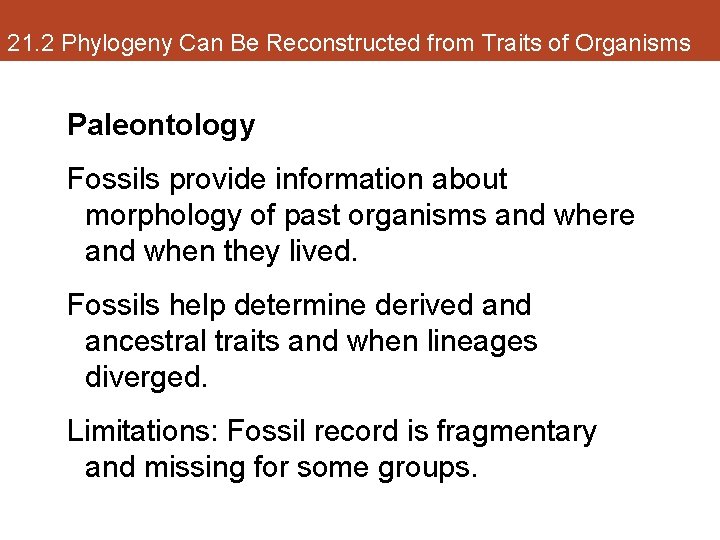 21. 2 Phylogeny Can Be Reconstructed from Traits of Organisms Paleontology Fossils provide information