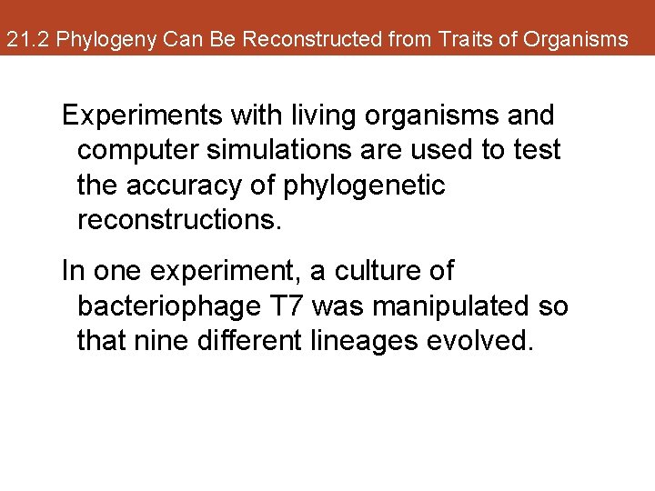 21. 2 Phylogeny Can Be Reconstructed from Traits of Organisms Experiments with living organisms