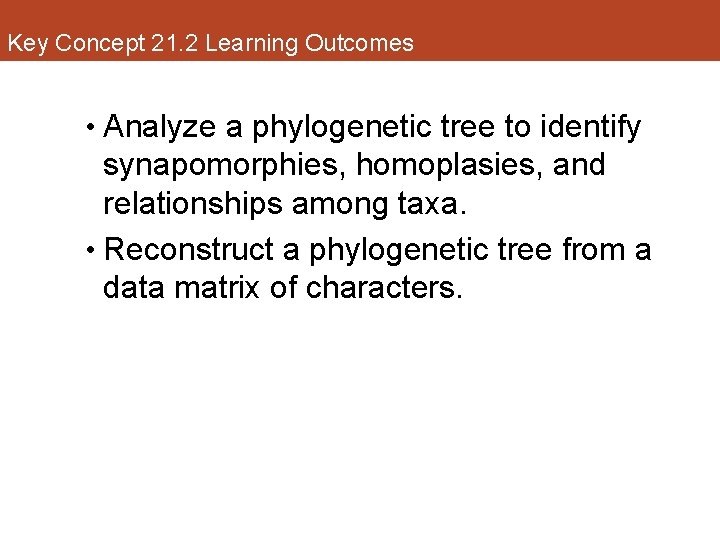 Key Concept 21. 2 Learning Outcomes • Analyze a phylogenetic tree to identify synapomorphies,