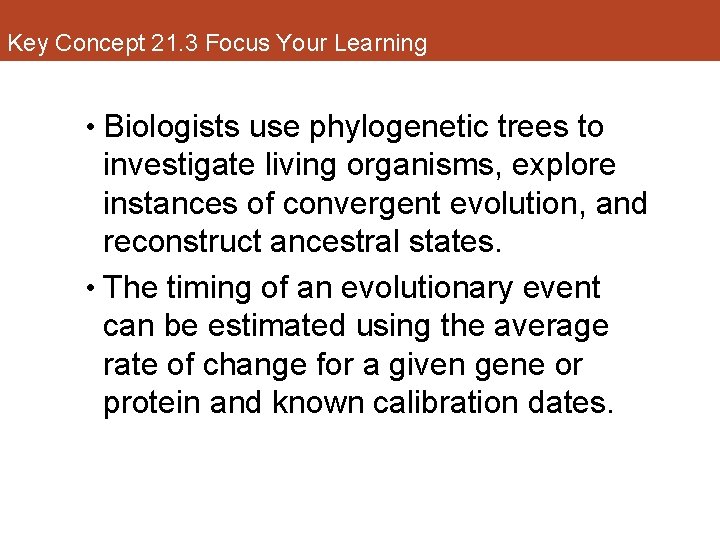 Key Concept 21. 3 Focus Your Learning • Biologists use phylogenetic trees to investigate