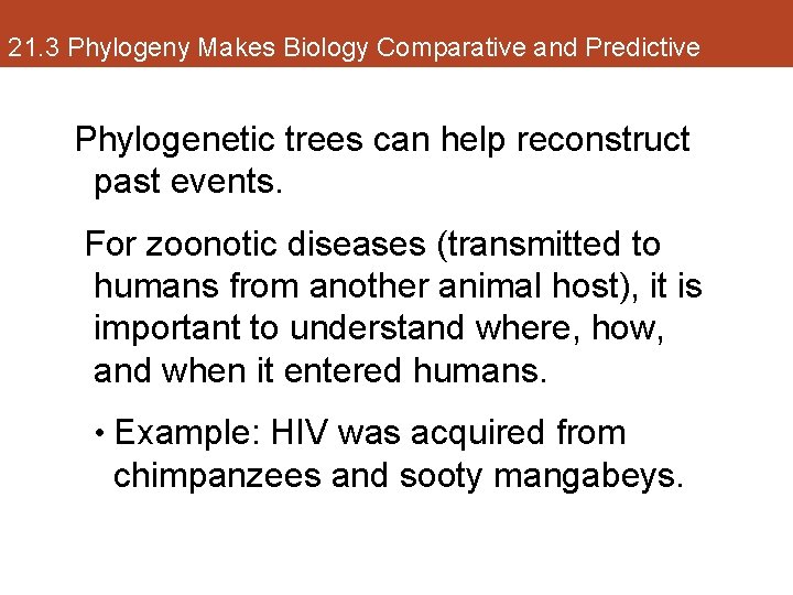 21. 3 Phylogeny Makes Biology Comparative and Predictive Phylogenetic trees can help reconstruct past