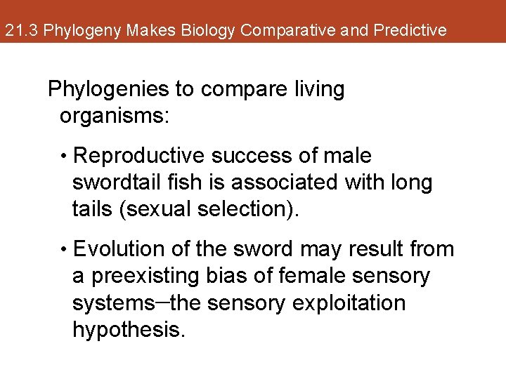21. 3 Phylogeny Makes Biology Comparative and Predictive Phylogenies to compare living organisms: •