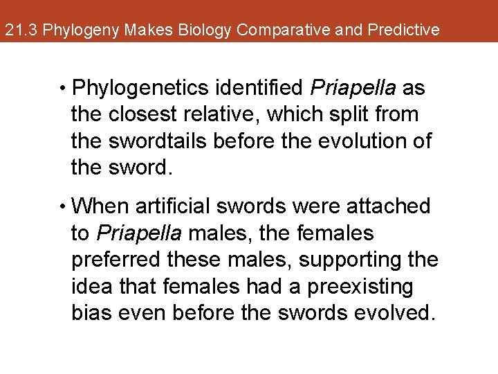 21. 3 Phylogeny Makes Biology Comparative and Predictive • Phylogenetics identified Priapella as the