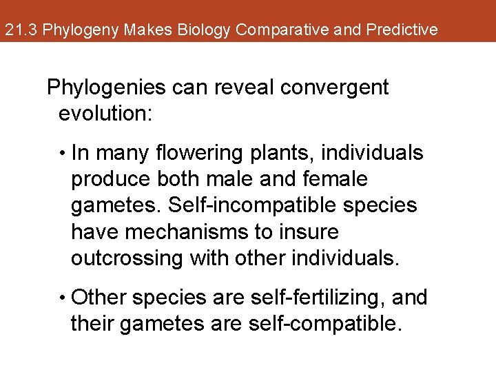 21. 3 Phylogeny Makes Biology Comparative and Predictive Phylogenies can reveal convergent evolution: •