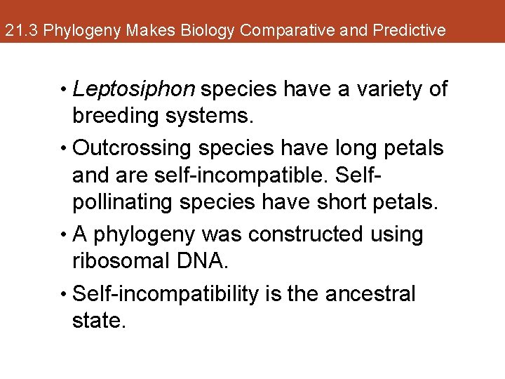 21. 3 Phylogeny Makes Biology Comparative and Predictive • Leptosiphon species have a variety