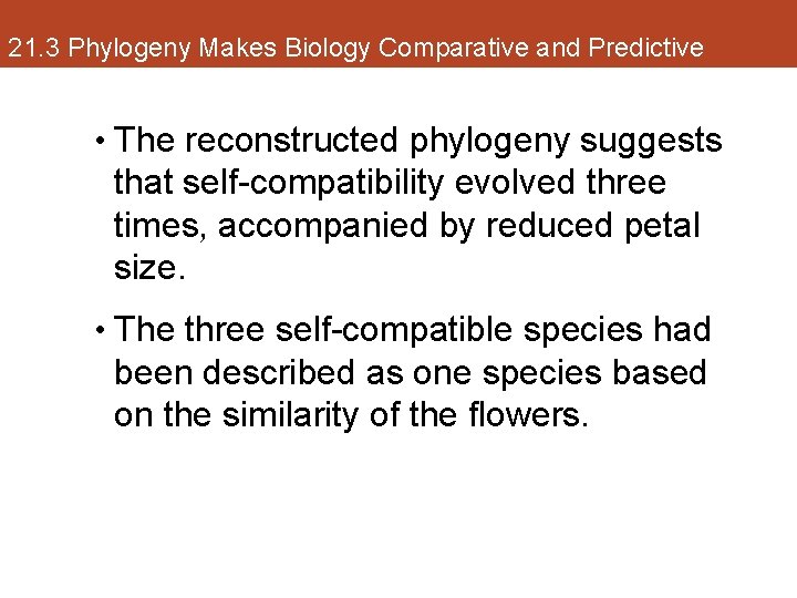 21. 3 Phylogeny Makes Biology Comparative and Predictive • The reconstructed phylogeny suggests that