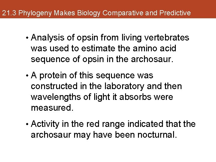 21. 3 Phylogeny Makes Biology Comparative and Predictive • Analysis of opsin from living