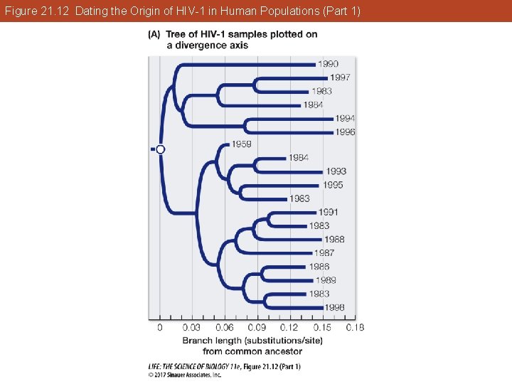 Figure 21. 12 Dating the Origin of HIV-1 in Human Populations (Part 1) 