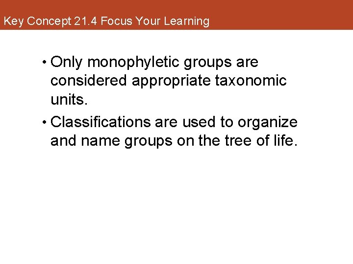 Key Concept 21. 4 Focus Your Learning • Only monophyletic groups are considered appropriate