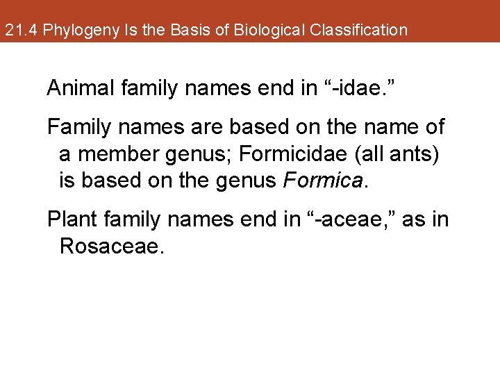 21. 4 Phylogeny Is the Basis of Biological Classification Animal family names end in