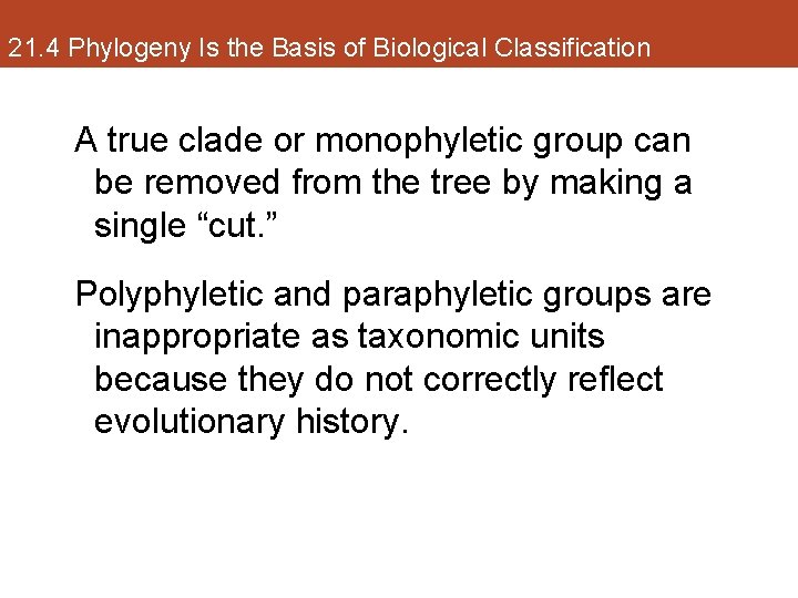 21. 4 Phylogeny Is the Basis of Biological Classification A true clade or monophyletic