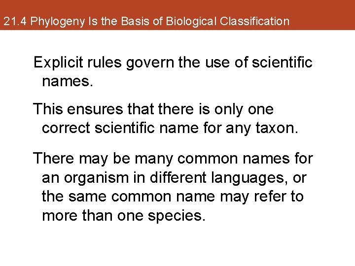 21. 4 Phylogeny Is the Basis of Biological Classification Explicit rules govern the use