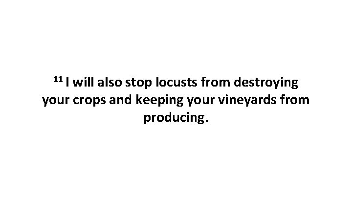 11 I will also stop locusts from destroying your crops and keeping your vineyards 11 I will also stop locusts from destroying your crops and keeping your vineyards